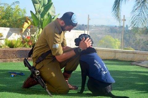 Israeli Soldier With Guide Dog